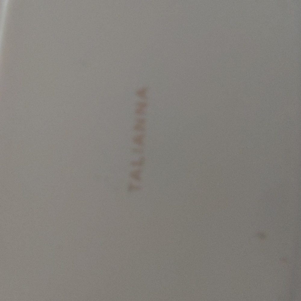 NEW Talianna Lilypad Catchall Tray NWT NIB - Picture 2 of 4